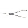 Asch Septum Forceps Straight, Overall Length 220mm